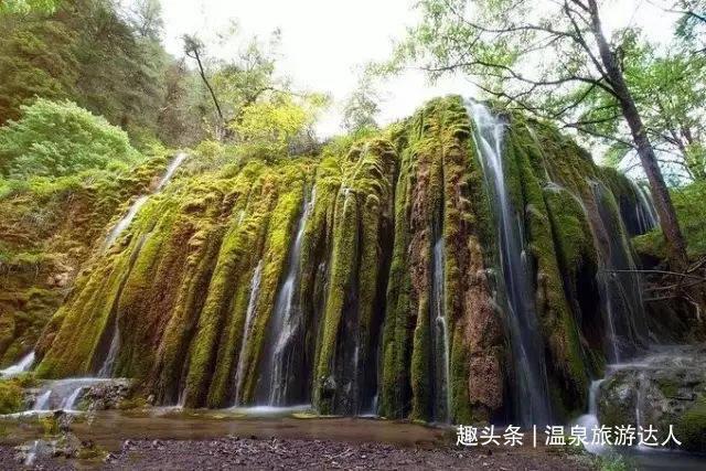 梦幻西游电脑版