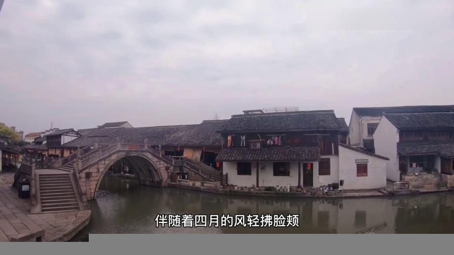 看到“张佳宁切错号”爆上热搜,才知她路人缘到底有多好!